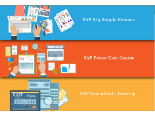 Online SAP Finance Certification in Laxmi Nagar, Delhi, SLA Accounting Institute, BAT Training Classes, Feb 23 Diwali Offer,