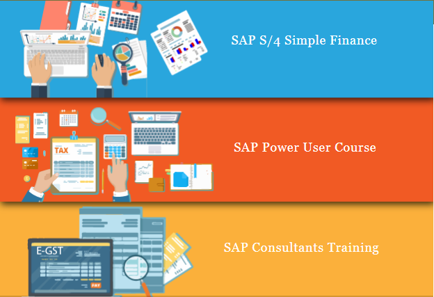 online-sap-finance-certification-in-laxmi-nagar-delhi-sla-accounting-institute-bat-training-classes-feb-23-diwali-offer-big-0