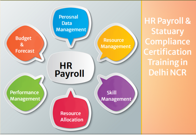 hr-payroll-training-course-in-delhi-sla-classes-sap-hcm-certification-in-gurgaon-hr-institute-in-noida-2024-offer-big-0
