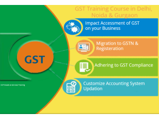 Best GST Course in Delhi, 110055 SLA Accounting Institute, Taxation and Tally Prime Institute in Delhi, Noida,